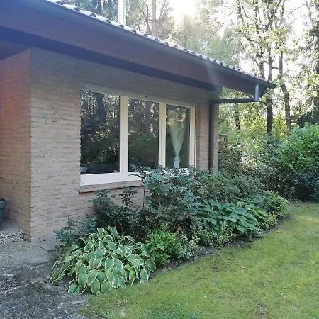 Fasanennest Feriehus Uelsen