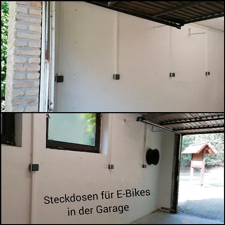 Fasanennest *